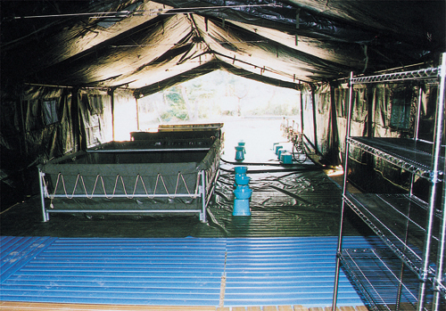 ��O�����Z�b�g�Q�^