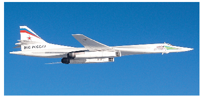 {Cӂŏ߂ĎFꂽVAR@TU-160({N6󎩎Be)