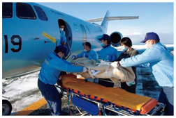 空自U-125A救難捜索機による患者の緊急輸送