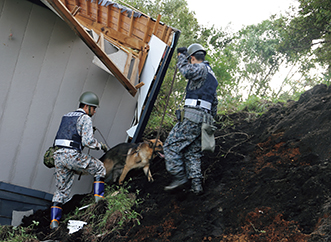 平成30年北海道胆振東部地震において、行方不明者の捜索にあたる空自隊員及び空自警備犬（18（平成30）年9月）