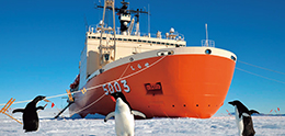 南極観測支援